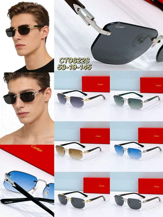 Picture of Cartier Sunglasses _SKUfw79566712fw